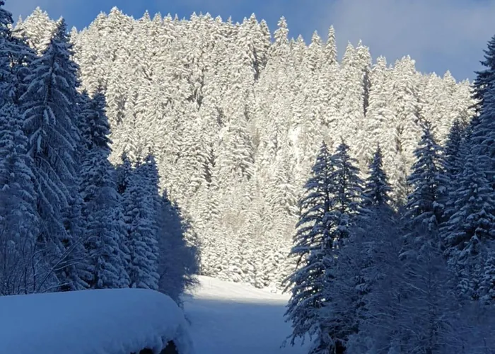 Les Avernes - Champagny En Vanoise, Domaine Paradiski シャレー ラ・プラーニュ