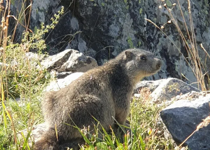 Les Avernes - Champagny En Vanoise, Domaine Paradiski シャレー *